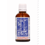 Pharmquests by Shots China Brush XL serum opóźniające 50 ml - obrazek 4